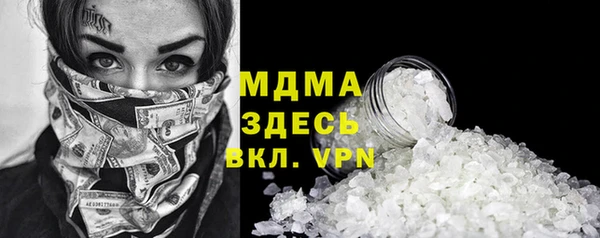 прущие грибы Абаза
