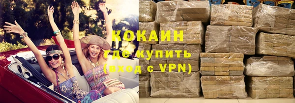 прущие грибы Абаза