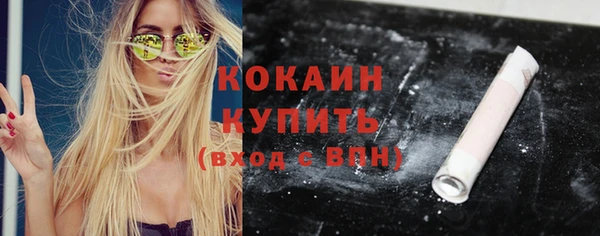 прущие грибы Абаза