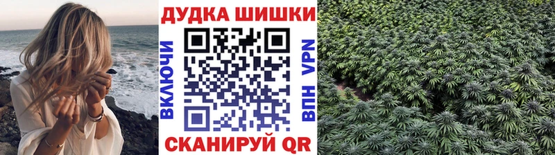 где купить   блэк спрут tor  Бошки Шишки гибрид  darknet наркотические препараты  Поворино 